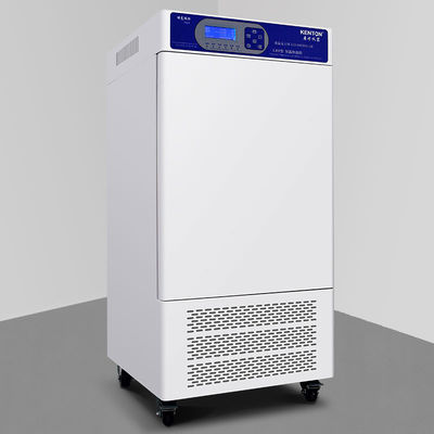 Camera di prova di umidità di temperatura della camera 220V di umidità di temperatura dell'OEM