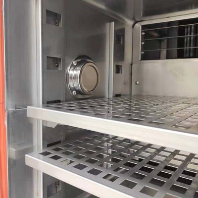 camera a atmosfera controllata del laboratorio di 220V Constant Environmental Test Chambers 225L