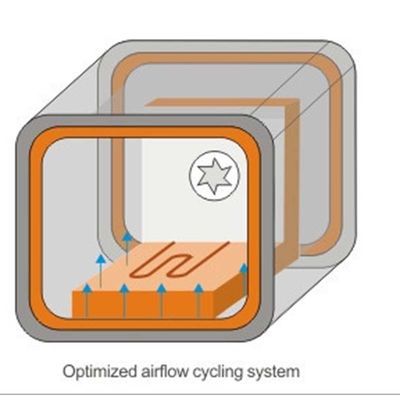Controllo automatico della macchina di Oven Sterilization Circulating Oven Dryer dell'aria calda di DHG