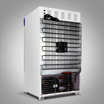 Camera di raffreddamento biologica dell'incubatrice del microrganismo dell'incubatrice 150L del laboratorio