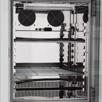 camera a atmosfera controllata del laboratorio di 220V Constant Environmental Test Chambers 225L