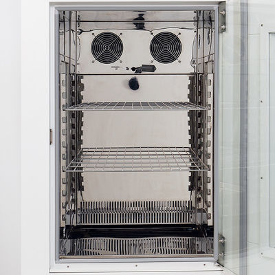 110V camera di prova climatica di stabilità della camera di prova 0-65C ambientale