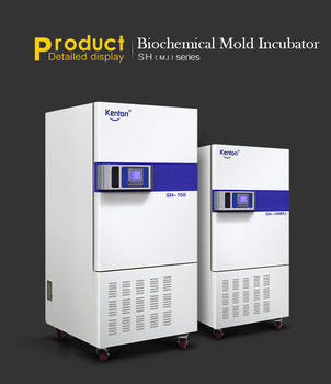 Incubatrice biologica Constant Temperature Incubator 800L del laboratorio di iso