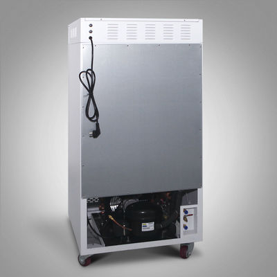 Camera di prova di clima di Constant Temperature And Humidity Environment con illuminazione 800L